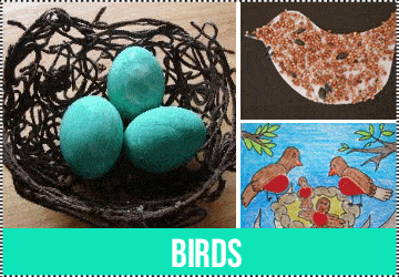 birds learning crafts