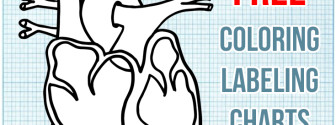 Free Printable Character Chart