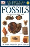 Fossil Craft - The Crafty Classroom