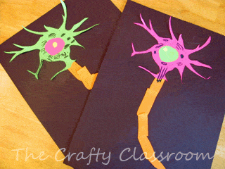 Brain & Neuron Coloring Pages - The Crafty Classroom