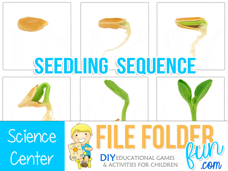 Seed to Plant Sequencing Cards