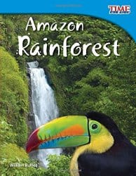 rainforest2