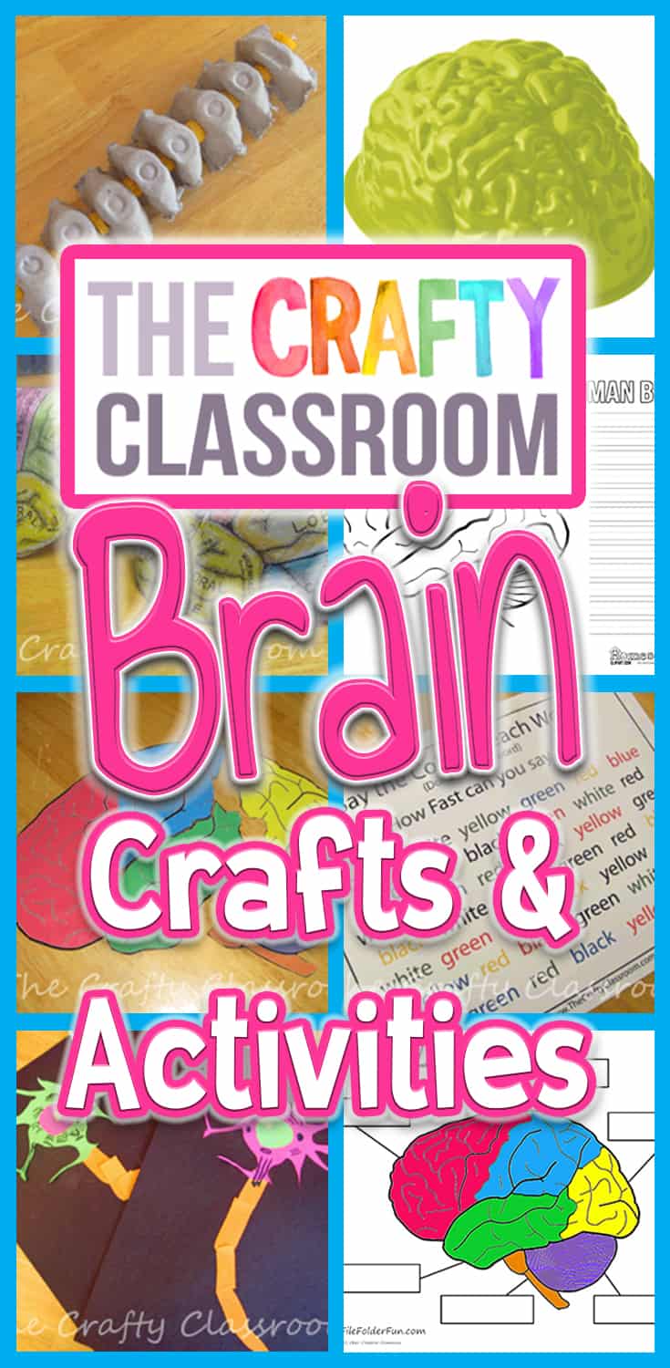 brain-crafts-activities-the-crafty-classroom