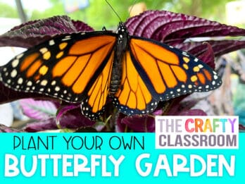 Butterfly Unit Study - The Crafty Classroom