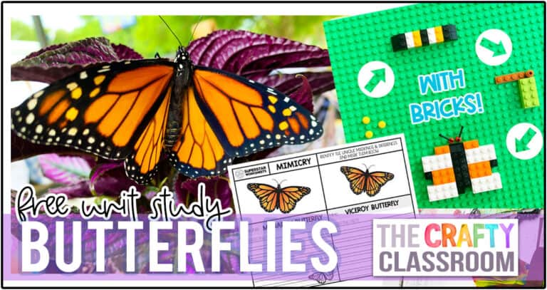 Butterfly Unit Study - The Crafty Classroom