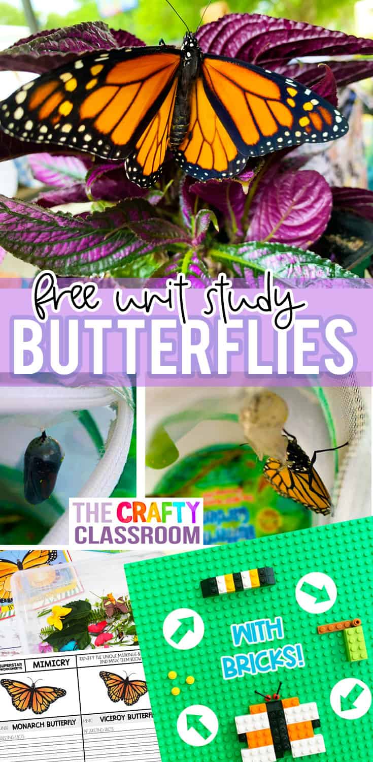 Butterfly Unit Study - The Crafty Classroom